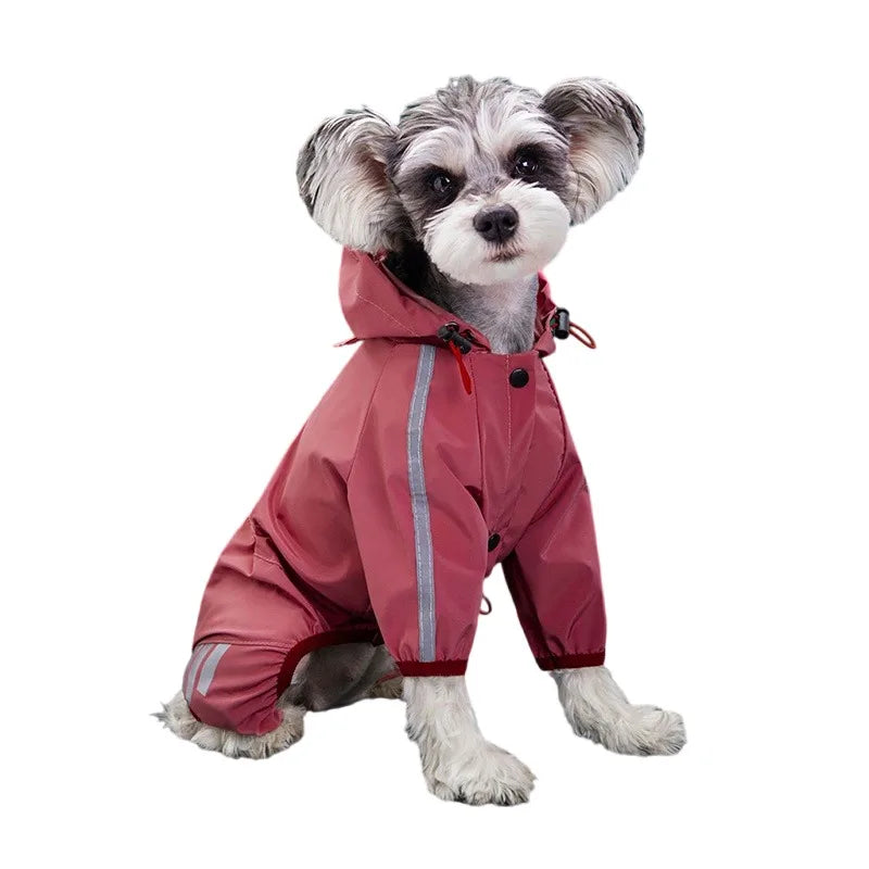 Capa de chuva para cães pequenos